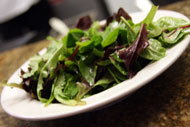 Soups and Salads